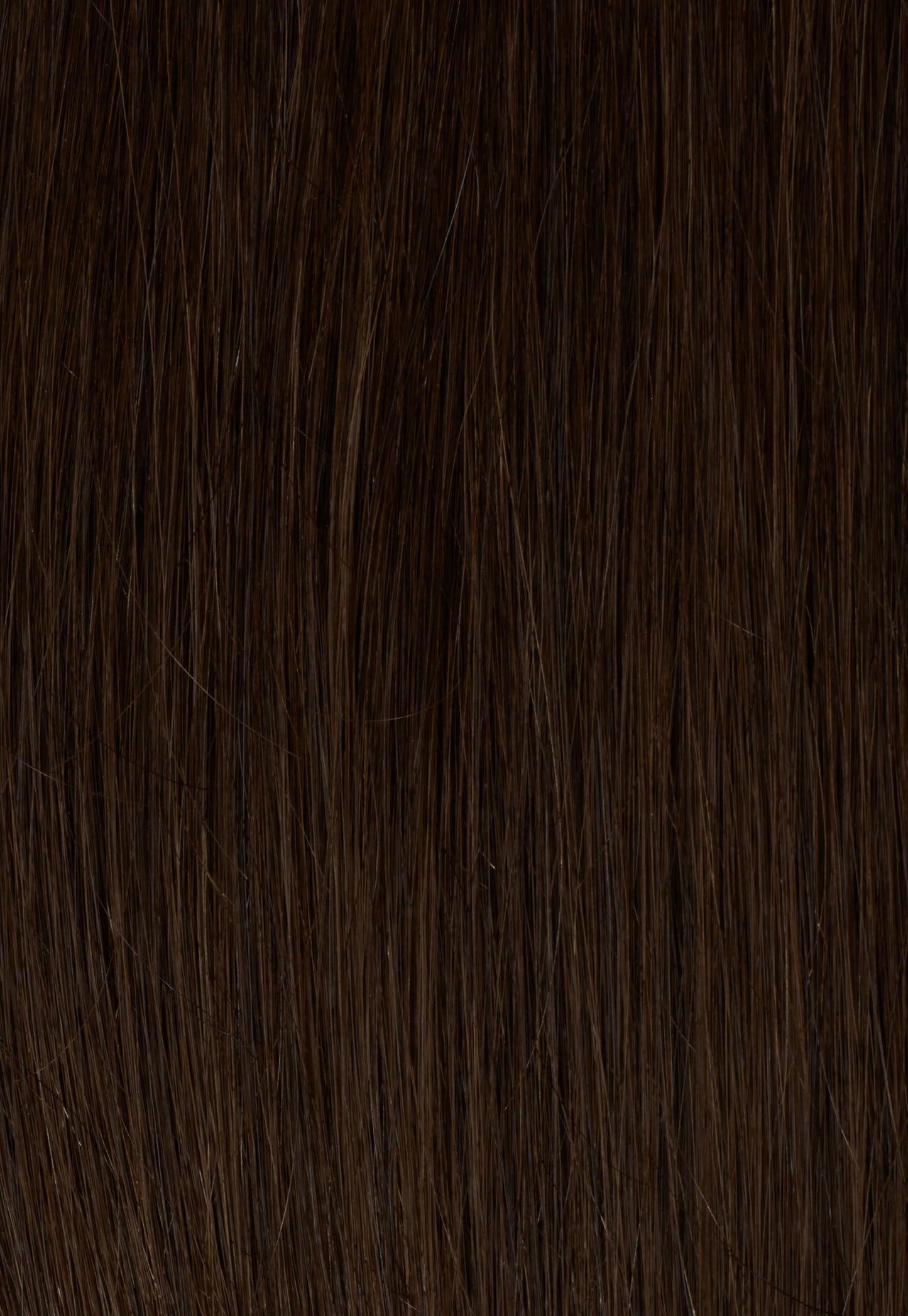 Medium Brown (2B) Halo