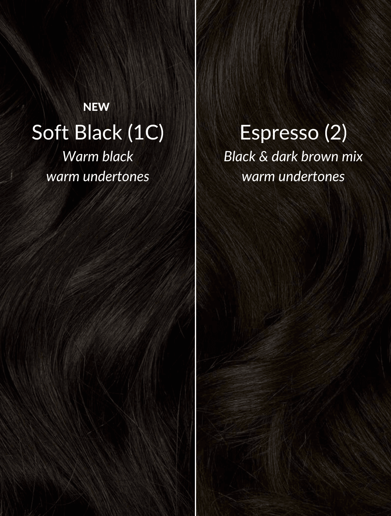 Soft Black (1C) Thinning Hair Fill-Ins