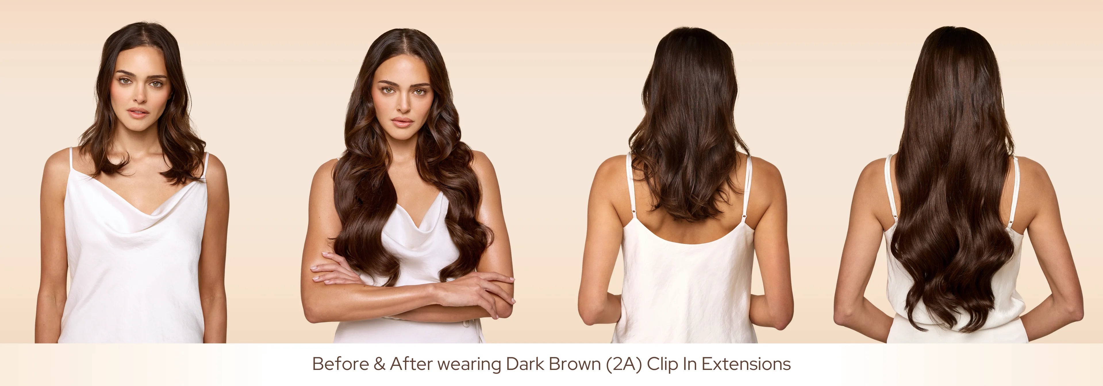 8_dark_brown_2A_clip