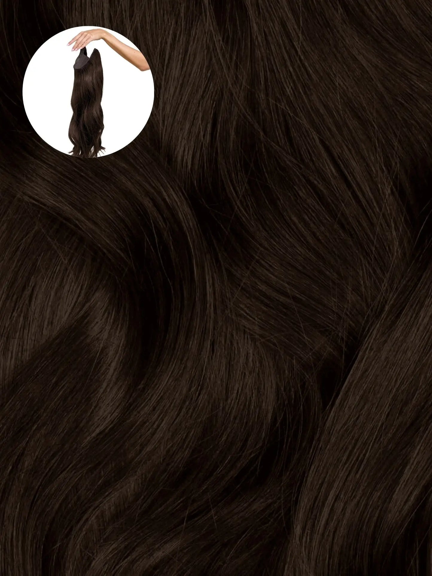 Dark Brown (2A) Halo
