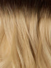 Rooted Dark Brown (2) to Dirty Blonde (19C) 20